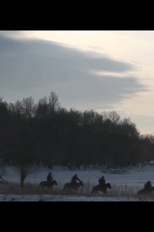 ТНГРИ