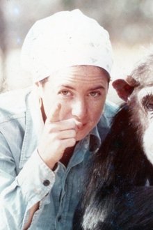 Lucy-the-Human-Chimp