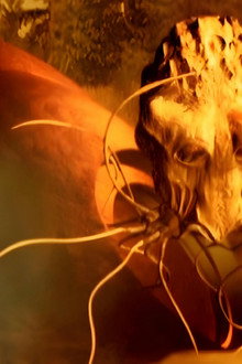 H.G. Wells' The War of the Worlds
