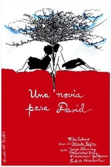 Poster do filme Una novia para David