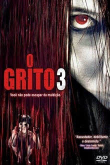 Poster do filme The Grudge 3