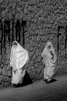 L'Algérie sous Vichy