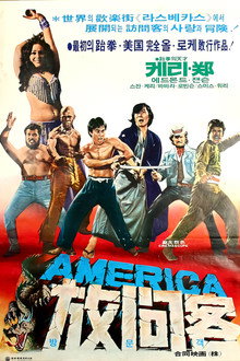 아메리카 방문객