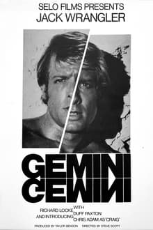 Poster do filme Gemini