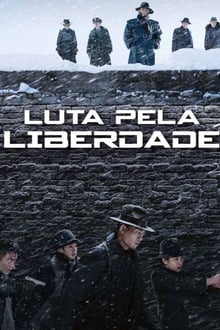 Poster do filme Luta Pela Liberdade