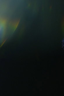 SYNTHETICA