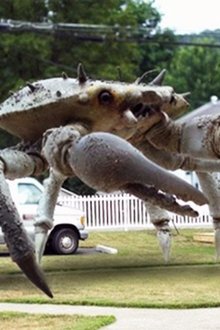 Queen-Crab