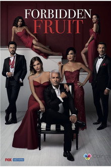 Season 4