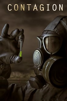 Rascunho automático