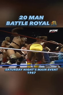 WWF 20-Man Battle Royal 1987