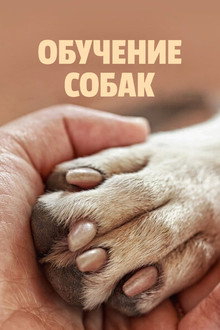 Сезон 1