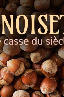 La noisette : le casse du siècle