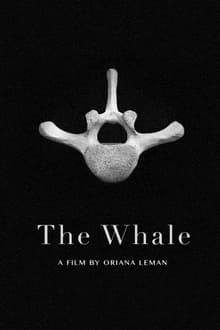 Poster do filme The Whale