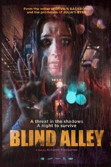 Poster do filme Blind Alley