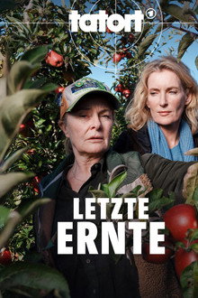Letzte Ernte