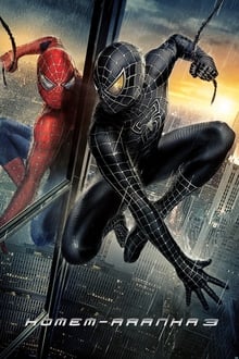 Poster do filme Spider-Man 3