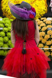 RHS Chelsea Flower Show