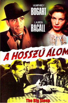 A hosszú álom