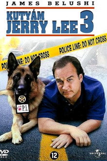 Kutyám, Jerry Lee 3.