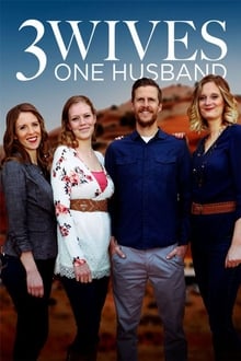 Poster da série Three Wives, One Husband