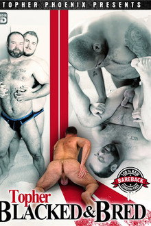 Topher Blacked & Bred