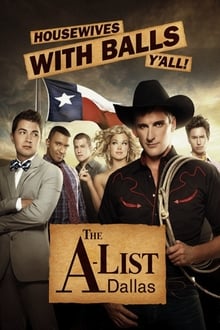 Poster da série A lista vip do mundo gay: Dallas