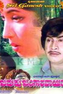 Baduku Bangaravayitu
