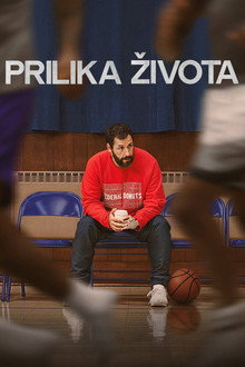 Прилика живота