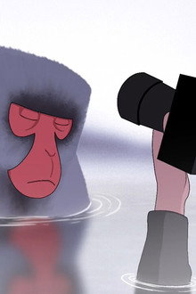 Exposure
