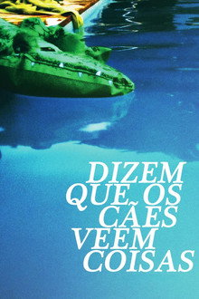 Dizem que os cães veem coisas