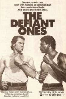 Poster do filme The Defiant Ones
