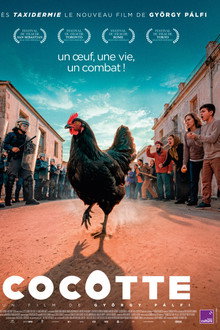 Cocotte