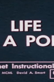 Life in a Pond