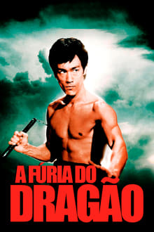 Poster do filme 精武門