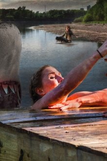 Summer-Shark-Attack