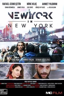 Poster do filme New York in New York