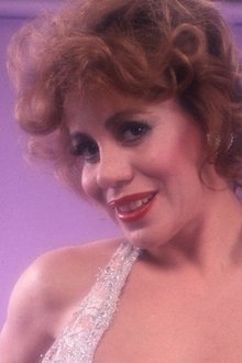 Photo of Kitten Natividad