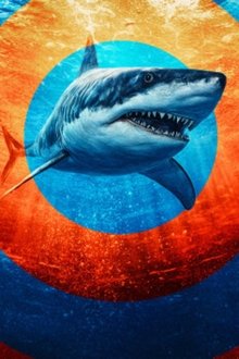 In-the-Eye-of-the-Storm-Shark-Storm