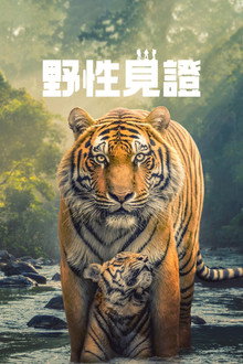 第 1 季