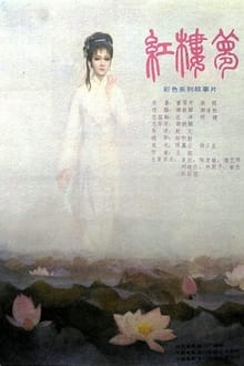 Poster da série 红楼梦