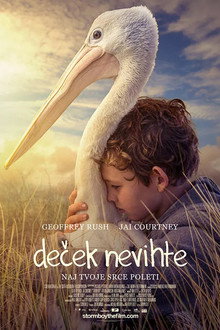 Deček nevihte