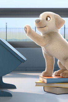Pip