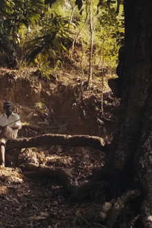 Papa Machete