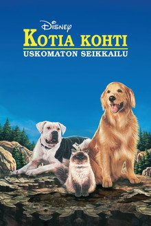Kotia kohti – uskomaton seikkailu