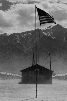Betrayed: Surviving an American Concentration Camp