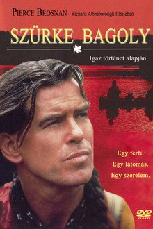 Szürke bagoly