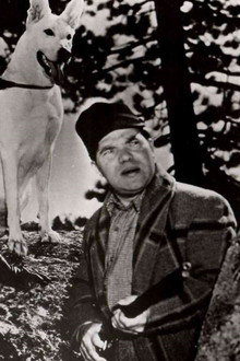 Call of the Klondike