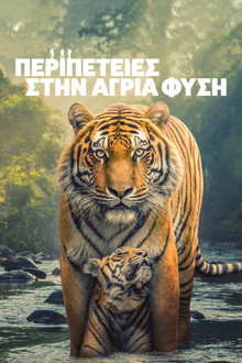 1ος κύκλος