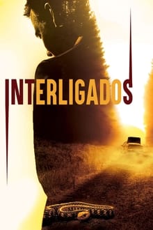 Poster do filme Interligados