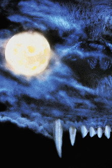 Bad Moon